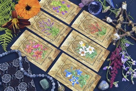 Incorporating the Mavical Flowers Tarot into your daily practice